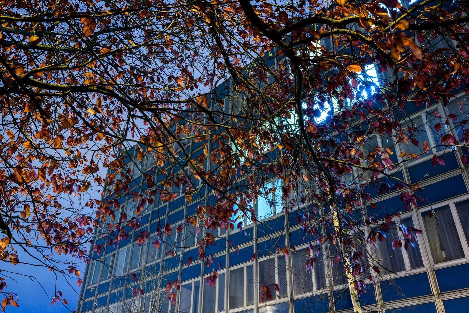 Dom Turystyczny Indigo Vandrarhem Kraków Exteriör bild
